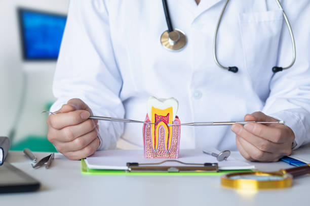 Best Tooth Infection Emergency Dentist  in Elmwood Park, IL